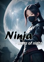Ninja - waltz of night