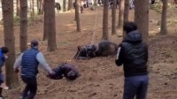 韩国剧组实拍坠马戏致参演马匹死亡 被罚1000万韩元