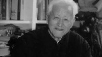 清史大家戴逸在京逝世，享年98岁