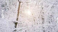 卫生间窗户一夜未关积雪堆成雪山 房主7小时没清完