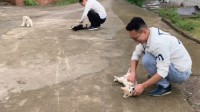 新老女婿回老婆娘家拜年区别太大引热议:大写的尴尬