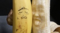 日本香蕉雕刻职人展示作品 但这造型有点难下咽 