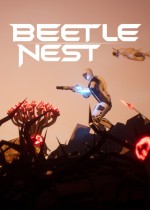 Beetle Nest