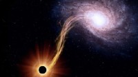 天文学家发现成长最快的黑洞 每天都能吞下一个太阳