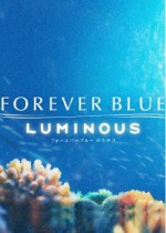 FOREVER BLUE LUMINOUS