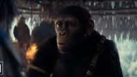 《猩球崛起：新世界》剧照释出：年轻猿猴开启自我寻找之路