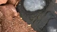 青岛辟谣海边石头里有钻石玛瑙：海边常见的火成岩