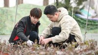 《种地吧》衍生生菜一菜难求 4.9元生菜被炒到300元
