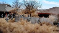 美国西部多地遭风滚草侵袭 房屋一夜之间被“占领” 