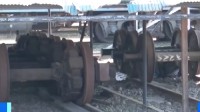 日本多地金属盗窃案频发：大量报废火车车轮失窃