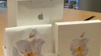 苹果上海静安店开业 黄牛涌入：免费礼品炒至数百元