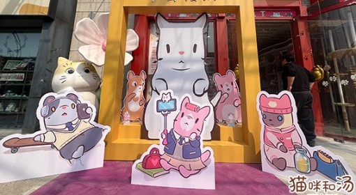 《猫咪和汤》×宫猫体验馆 撸猫主题店上线