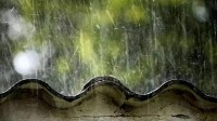 “清明时节雨纷纷”可能不是杜牧写的 网友：没白背