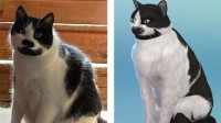 猫猫教狂喜！玩家用《模拟人生4》重现自家猫咪形象