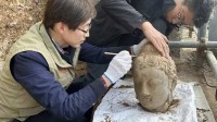 龙门石窟考古再上新 发现石刻造像、建筑构件80余件