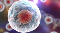 科学家制造出像活细胞的人造细胞 可克服恶劣环境