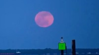 粉红超级月亮现身夜空！全球多地可见
