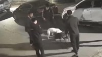 3人驱使烈性犬撕咬流浪猫致死:犬主被抓 涉案犬被扣