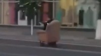 俄罗斯出现“街头飙椅”奇人！违反交规被罚800卢布