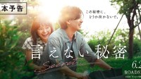 中分版