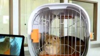 全国首家宠物候机厅在深圳机场启用 独立的候机空间