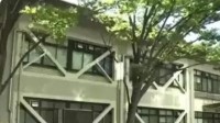 日本一大学丢失有毒氰化物 可致250人死亡