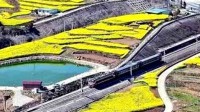 可能是中国最短的火车：两节车厢 被称为“双节棍”