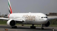 阿联酋客机降落时撞死40只火烈鸟 林业部门展开调查
