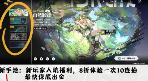 《鸣潮》新手卡池推荐与队伍搭配指南 角色强度排行版