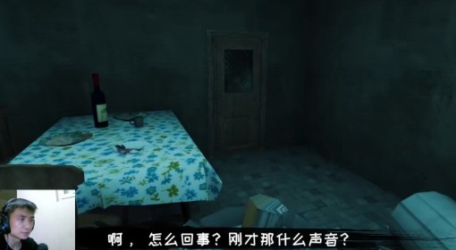 《恐怖之眼》实况解说视频