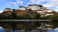 山东“铁腚大巴”走红：往返6800公里 费用近万元