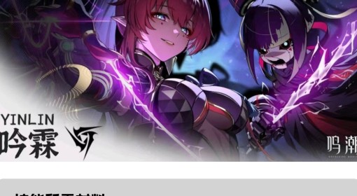 《鸣潮》吟霖声骸选择与配队培养一图流