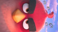 暴脾气胖红回来了 《愤怒的小鸟3》动画电影官宣