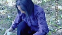 老太偷菜摔伤反要菜主赔偿8万 法院：驳回诉求！