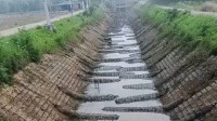 河道水位下降露出满河底地笼 网友：鱼犯了天条吗？