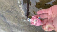 钓鱼佬用《孤独摇滚》波奇酱当鱼饵 还说意外的好用