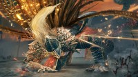 合作勇闯幽影之地!老头环无缝联机MOD已支持DLC