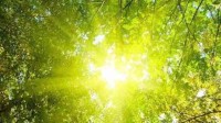 南方全天候闷热开始：上海热到全国第一名！