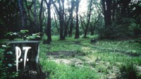 玩家热议最惋惜哪款游戏被取消：PT、星际争霸幽灵等