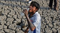 6月全球气温再刷最热纪录 已致上千人死亡