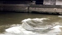 塞纳河水质最近不适宜比赛 若下暴雨铁人三项变两项