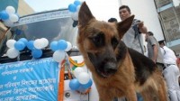 印度警犬赴巴黎协助奥运会安保：10只警犬17名训导员