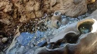 富士山下水池被投币超1米 管理者：乱投币可罚款百万