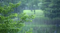 人类正造成全球降雨模式混乱 预测天气将更加困难