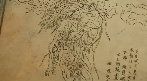 《黑神话：悟空》黑风山精怪小人参精图鉴