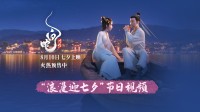 动画《白蛇浮生》宣传片释出 许仙白娘子浪漫迎七夕!