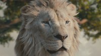 狮子王前传《木法沙传奇》预告公开！12.20上映