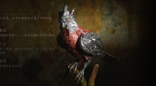 《黑神话：悟空》根器图鉴与效果一览