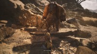 PCgamer《黑神话》87分：玩过的最有趣的ARPG之一
