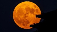 肉眼可见！今年首个“超级月亮”明天凌晨现身